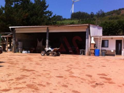 Quinta com 10 hectares em Alguber, Cadaval