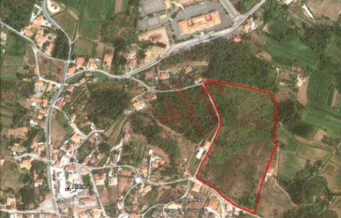 Terreno com 39700 m2 para construção de Lar de Idosos em Fragoso, Barcelos