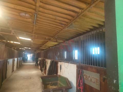 Quinta com Centro Equestre com 9.106 m2 em Fermentões, Guimarães