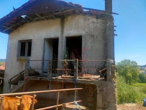 Quinta  com 2000m2 Urbanizáveis |  composta por Moradia ,  Moinho e  mais 5 em Nevogilde, Lousada