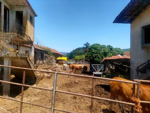 Quinta  com 2000m2 Urbanizáveis |  composta por Moradia ,  Moinho e  mais 5 em Nevogilde, Lousada