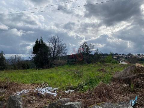 Quinta para restauro com 4.300m2 em Sousela, Lousada