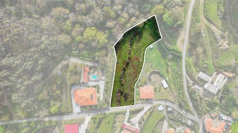 Terreno Rústico com 3.138,34 m² em Penacova, Felgueiras