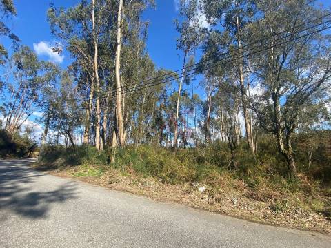 Terreno Rústico com 17.569 m2 em Sousela, Lousada