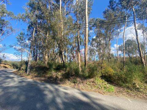 Terreno Rústico com 17.569 m2 em Sousela, Lousada