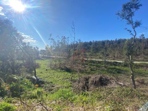 Terreno de Construção com 3.109m2 em Sousela, Lousada