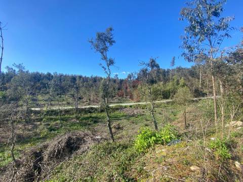 Terreno de Construção com 3.109m2 em Sousela, Lousada