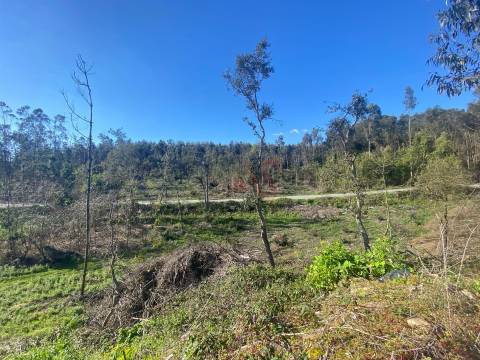 Terreno de Construção com 3.109m2 em Sousela, Lousada