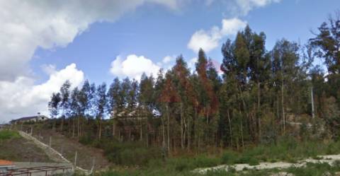Terreno de Construção com 2.700 m2 em Silvares , Lousada