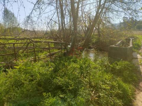 Terreno Rústico com 36.200 m² em Nevogilde, Lousada