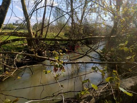Terreno Rústico com 36.200 m² em Nevogilde, Lousada