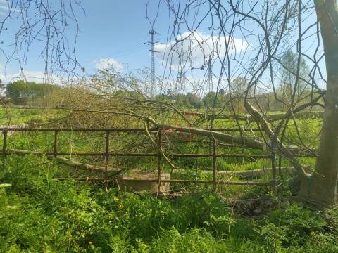 Terreno Rústico com 36.200 m² em Nevogilde, Lousada