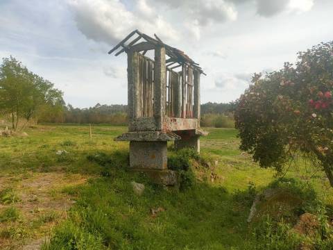 Quinta T4 em Seidões, Fafe