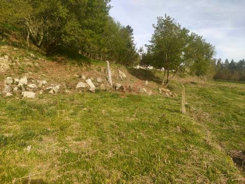 Quinta T4 em Seidões, Fafe