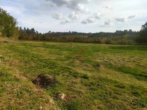 Quinta T4 em Seidões, Fafe