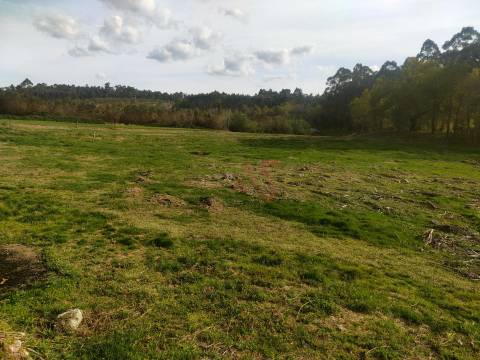 Quinta T4 em Seidões, Fafe