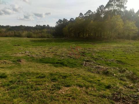 Quinta T4 em Seidões, Fafe