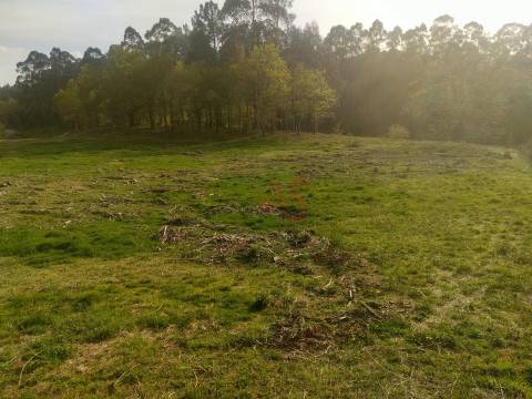 Quinta T4 em Seidões, Fafe