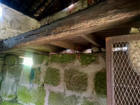 Quinta T4 em Seidões, Fafe