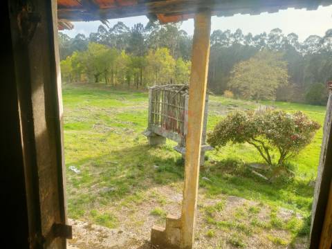 Quinta T4 em Seidões, Fafe