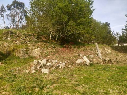 Quinta T4 em Seidões, Fafe