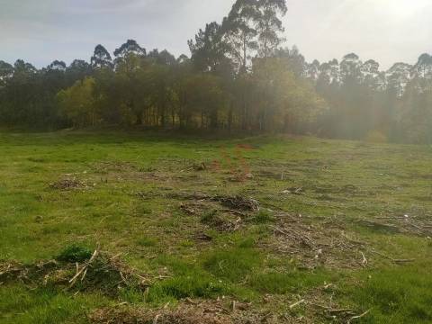 Quinta T4 em Seidões, Fafe