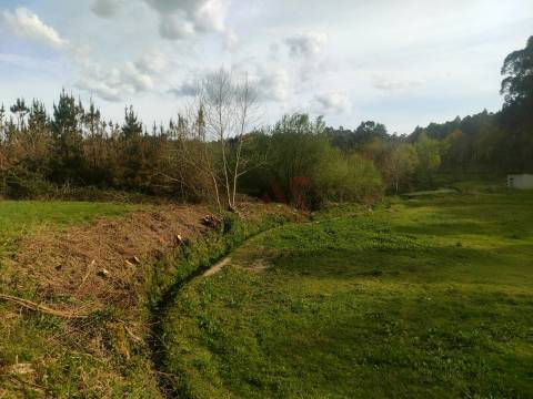 Quinta T4 em Seidões, Fafe