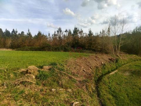 Quinta T4 em Seidões, Fafe