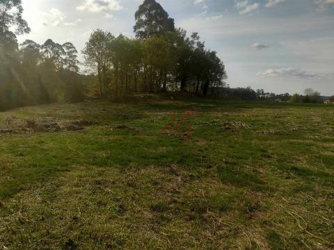 Quinta T4 em Seidões, Fafe