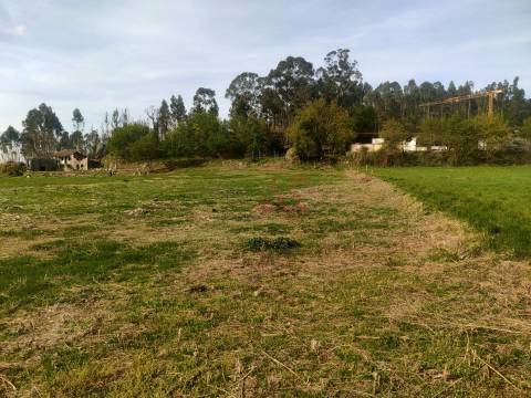 Quinta T4 em Seidões, Fafe