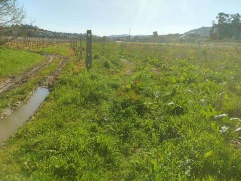 Terrenos Rústicos com 6.820 m² em Nevogilde, Lousada