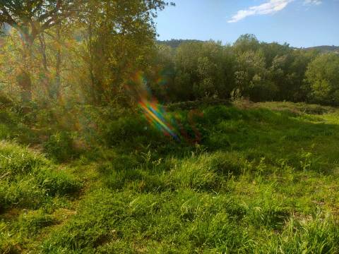 Terreno Agrícola com 9.989,95 m² em Nevogilde, Lousada