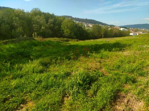 Terreno Agrícola com 9.989,95 m² em Nevogilde, Lousada