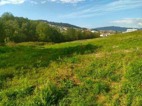 Terreno Agrícola com 9.989,95 m² em Nevogilde, Lousada