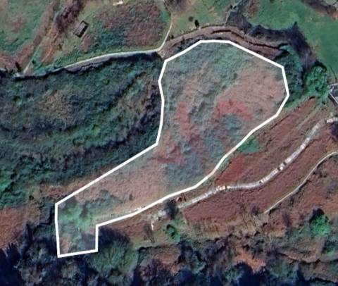 Terreno Rústico com 4.379 m2 em Sousela, Lousada