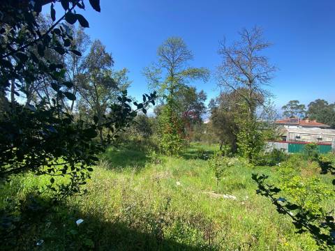 Quintinha para restauro com 2 Hectares em Guimarei, Santo Tirso