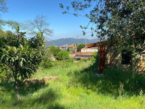 Quintinha para restauro com 2 Hectares em Guimarei, Santo Tirso