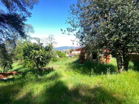 Quintinha para restauro com 2 Hectares em Guimarei, Santo Tirso