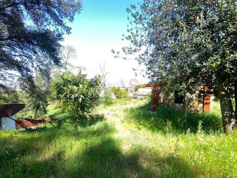 Quintinha para restauro com 2 Hectares em Guimarei, Santo Tirso