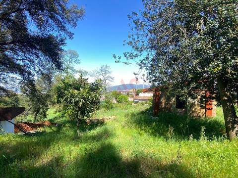 Quintinha para restauro com 2 Hectares em Guimarei, Santo Tirso