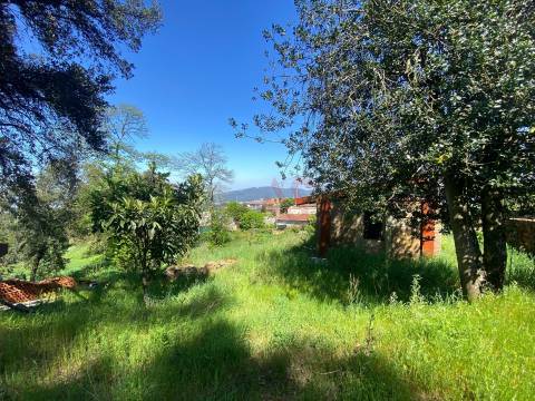 Quintinha para restauro com 2 Hectares em Guimarei, Santo Tirso