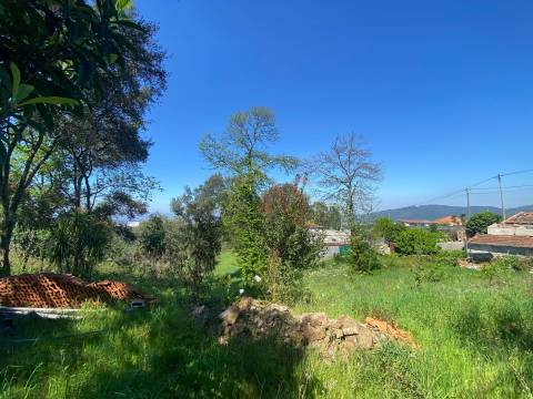 Quintinha para restauro com 2 Hectares em Guimarei, Santo Tirso