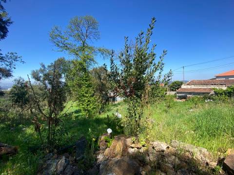 Quintinha para restauro com 2 Hectares em Guimarei, Santo Tirso