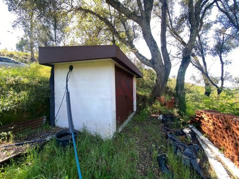 Quintinha para restauro com 2 Hectares em Guimarei, Santo Tirso