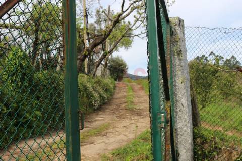Moradia T2 para restaurar em Fervença, Celorico de Basto
