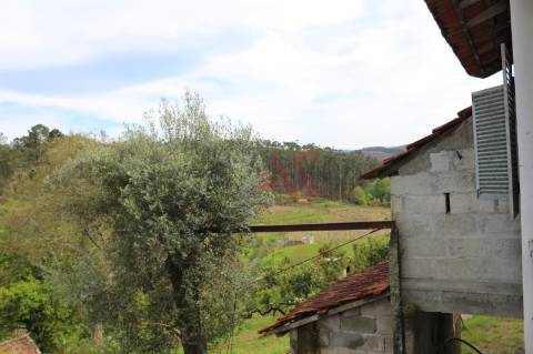Moradia T2 para restaurar em lote de terreno com 4.049 m2 em Fervença, Celorico de Basto
