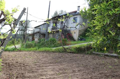 Moradia T2 para restaurar em lote de terreno com 4.049 m2 em Fervença, Celorico de Basto