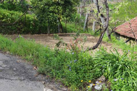 Moradia T2 para restaurar em lote de terreno com 4.049 m2 em Fervença, Celorico de Basto