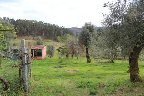 Moradia T2 para restaurar em lote de terreno com 4.049 m2 em Fervença, Celorico de Basto