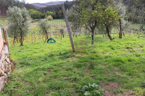 Moradia T2 para restaurar em lote de terreno com 4.049 m2 em Fervença, Celorico de Basto